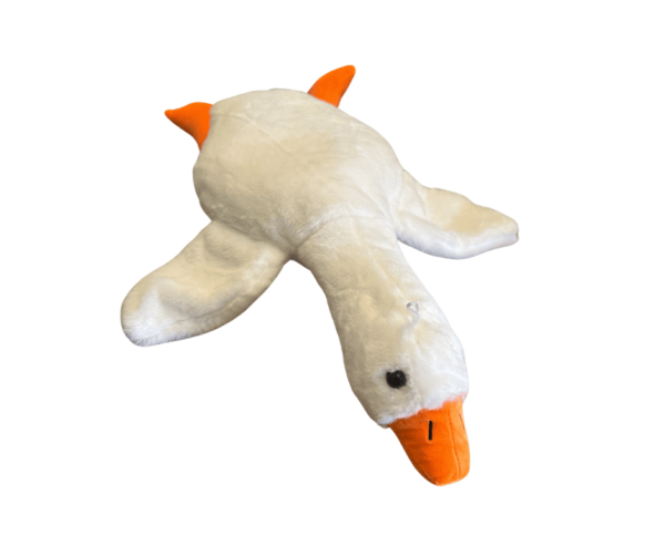 Gås